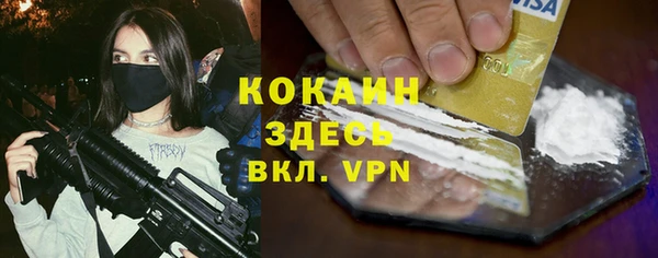 крисы Майский