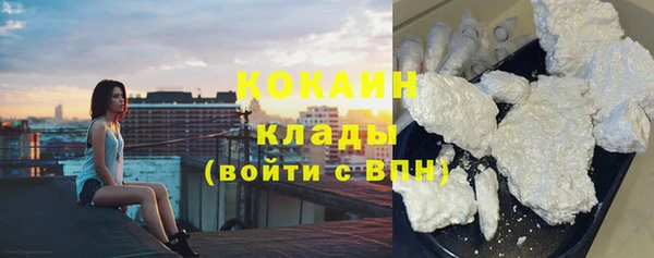 крисы Майский