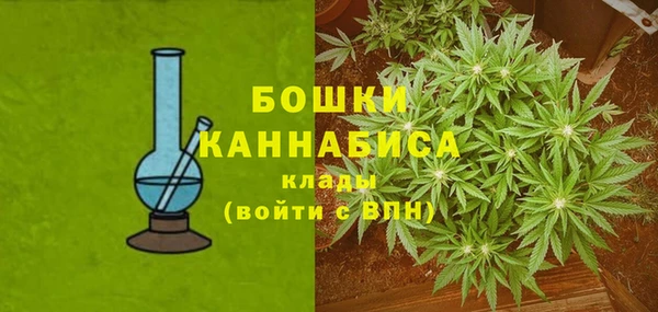 крисы Майский