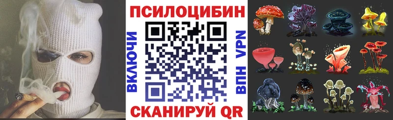 Галлюциногенные грибы MAGIC MUSHROOMS  Хотьково 